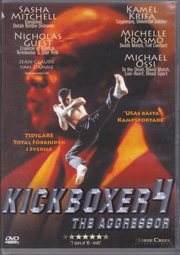 DVD / Kickboxer 4 / Sasha Mitchell, Nicholas Guest, Kamel Krifa / Fint skick