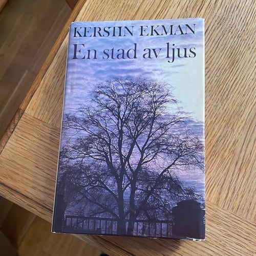 En stad av ljus - Kerstin Ekman