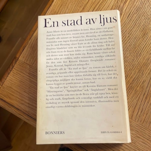 En stad av ljus - Kerstin Ekman