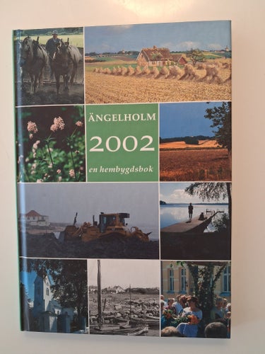 Ängelholm 2002 en hembygdsbok