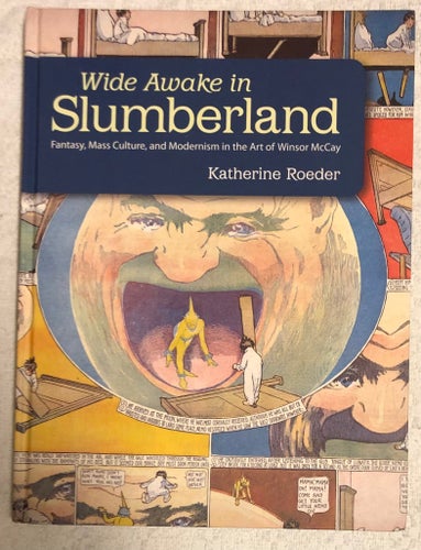 Wide Awake in Slumberland Hardcover Katherine Roeder