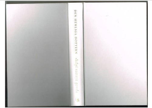DEN HEMLIGA DOTTERN - Shilpi Somaya Gowda (2012)