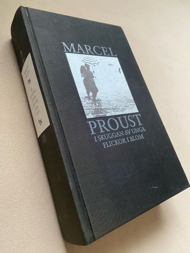 I skuggan av unga flickor i blom av Marcel Proust, 1993
