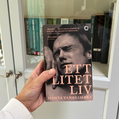 Ett litet liv av Hanya Yanagihara