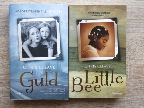 Guld & Little Bee av Chris Cleave