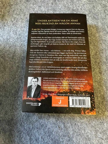 Conn Iggulden - Falken från Sparta