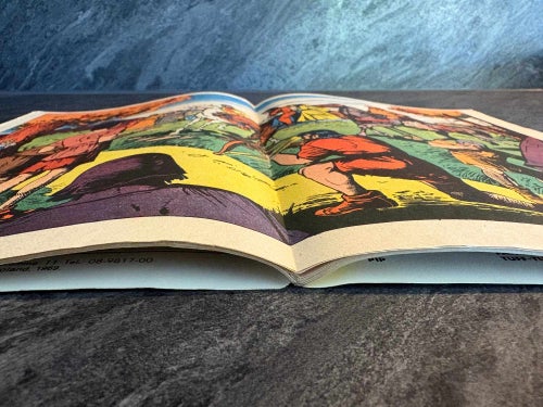 Illustrerade Klassiker Nr 8