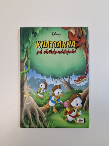 Knattarna på sköldpaddsjakt - Disney