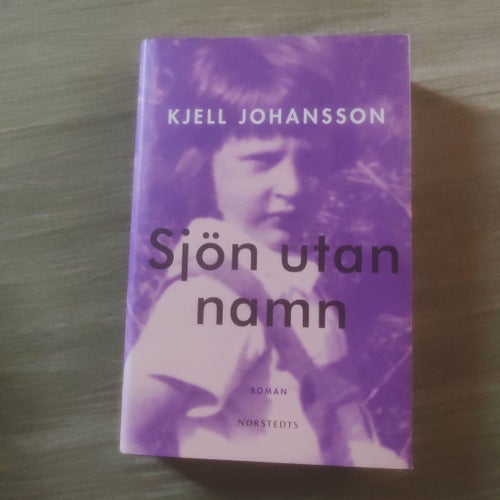 Sjön utan namn av Kjell Johansson, 2001
