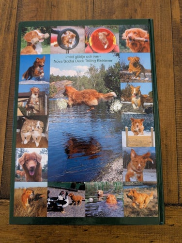 Rasbok Nova Scotia Duck Tolling Retriever 2003