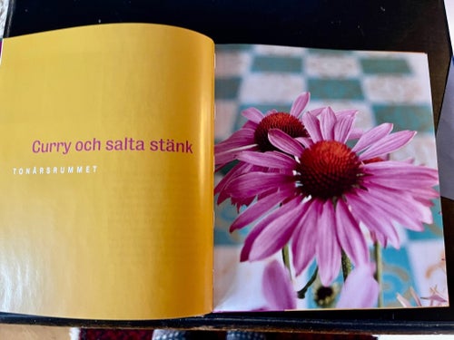 Gör om hemma med färg av Reva Hallbäck, /Inbunden