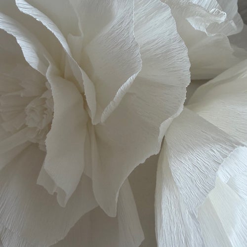 Dekorations blomma, Vit, Papper