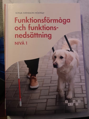Funktionsförmåga och funktionsnedsättning - Nivå 1 av Sonja Svensson Höstfält