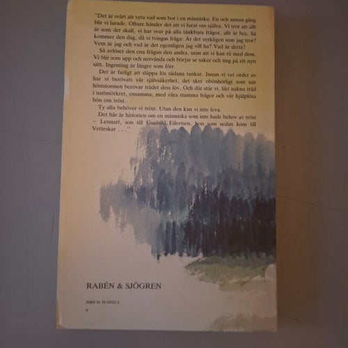 Sonen : roman