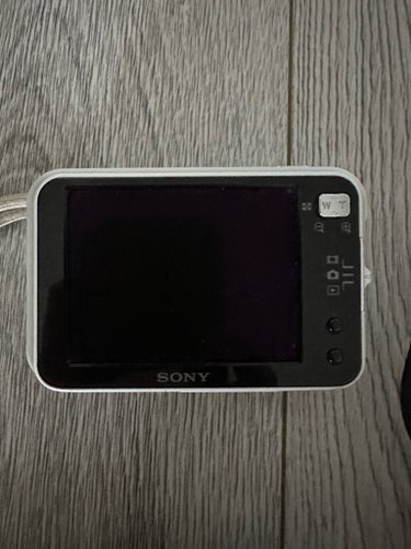Sony CyberShot 8.1 MP Digital Camera with 3x Optical Zoom (DSC-N1)