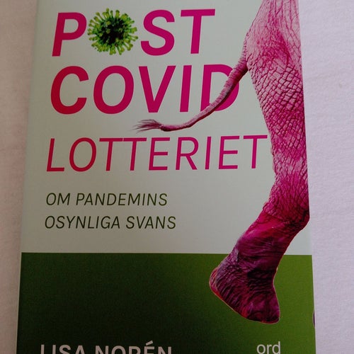 Post Covid Lotteriet av Lisa Norén, Okänt publiceringsår
