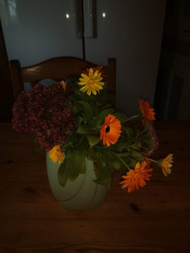 Ringblommor,blandade frön,sommar/höstblommor