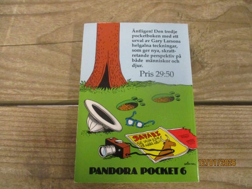 Pandora Pocket 6 Larson! Talar Ut