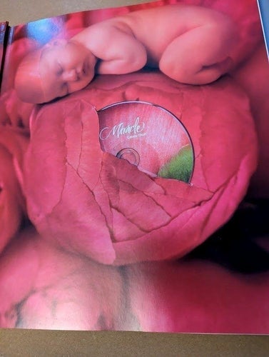 Miracle - a celebration of new life - Anne Geddes & Celine Dion - inkl. CD & DVD