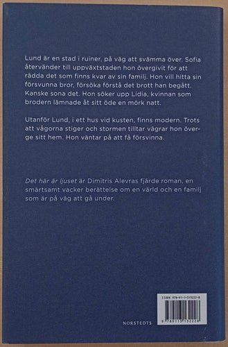 Det här är ljuset: roman / Dimitris Alevras