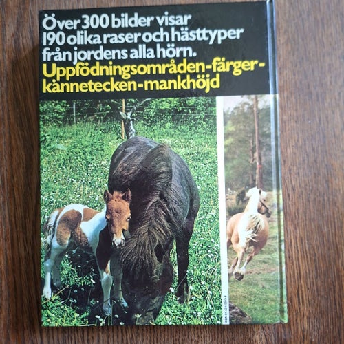 Hästar från hela världen av Daphne Machin Goodall, 1977