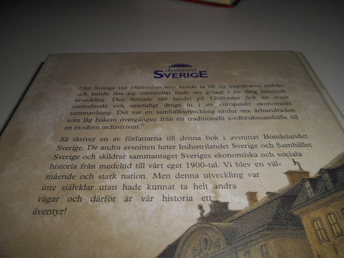 Äventyret Sverige : en ekonomisk och social historia