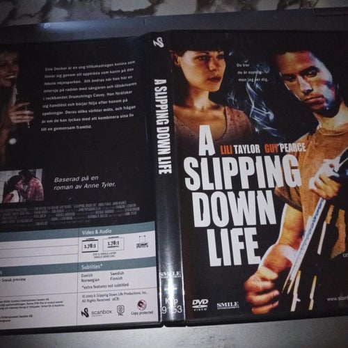 A Slipping Down Life (Guy Pearce, Lili Taylor)