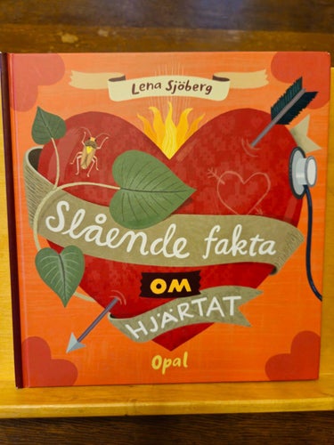 Slående fakta om hjärtat, Lena Sjöberg