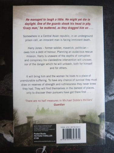The Reluctant Hero av Michael Dobbs