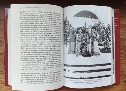 Den sista kejsarinnan av Kina av Jung Chang, 2013