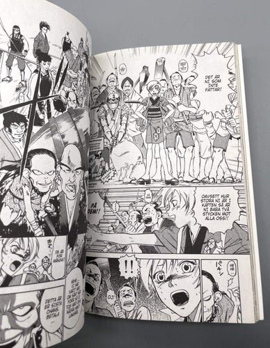 Samurai deeper Kyo vol. 1 av Akimine Kamijyo (manga på svenska)