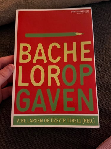 BACHELOROPGAVEN af Vibe Larsen og Üzeyir Tireli