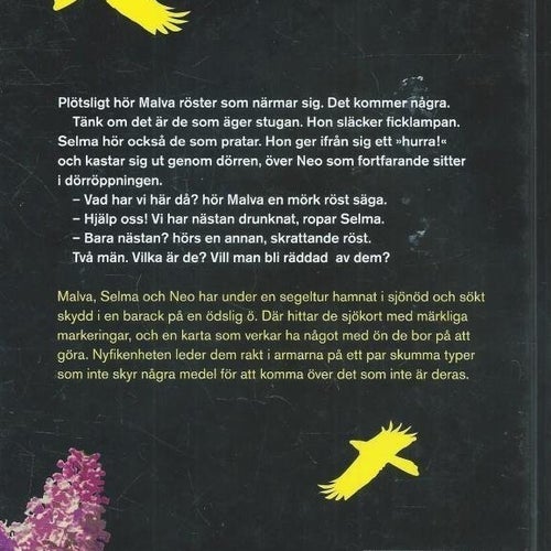 Fågelöns hemlighet - Christina Wahldén