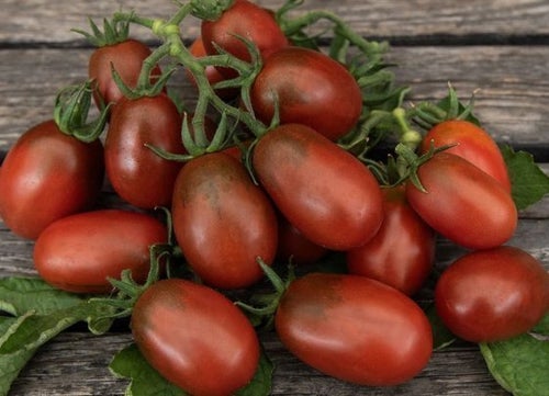 Black plum, 10 st tomatfrön