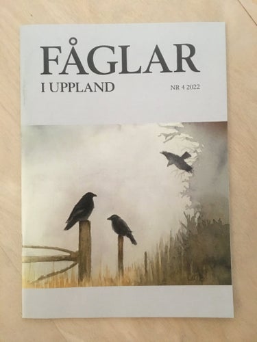 Fåglar i Uppland, NR 4/2022