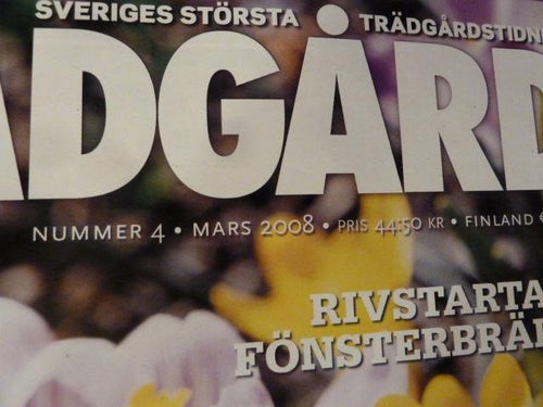 ALLT OM TRÄDGÅRD, NR 4-2008, TIDNING