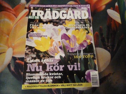 ALLT OM TRÄDGÅRD, NR 4-2008, TIDNING