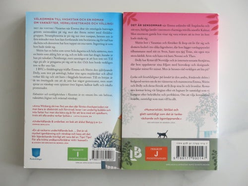Vaknätter och verklighetskaos i Vasastan av Anna Winberg, 2019