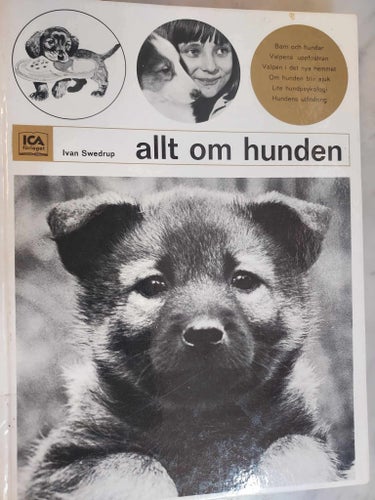 Bok 1973 ICA förlaget Allt om hunden Ivan Svedrup Bredd 15,5 cm Höjd 20,5 cm