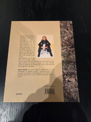 Aktivitetsboken av Memea Mohlin