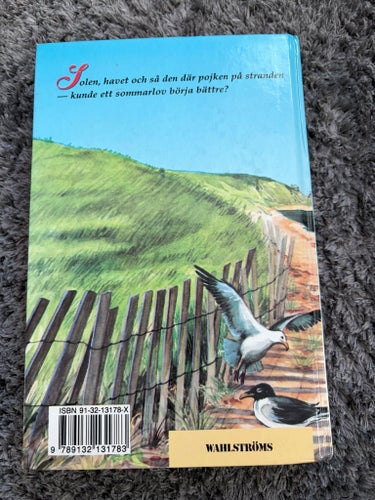 En sommardröm av C.S. Adler