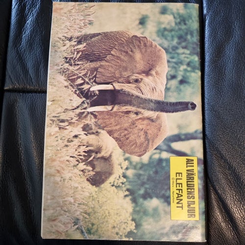 Lassie nr 3 1980 - Orinoco's skatt
