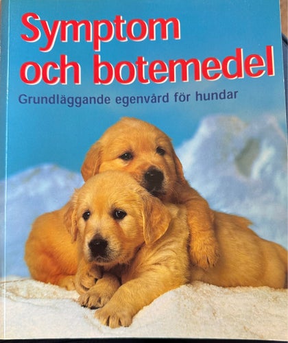 Symptom och botemedel: Grundläggande egenvård för hundar