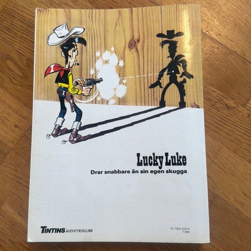 Lucky Lukes äventyr: Bröderna Daltons första fall