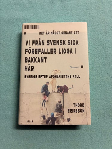 Det är något genant att vi från svensk sida förefaller ligga i bakkant..