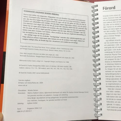 DEN SKADEFRIA HÄSTEN Amanda Sutton 2004