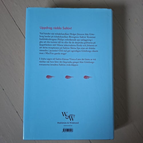 Södra vägen till Saltön av Viveca Lärn, 2014