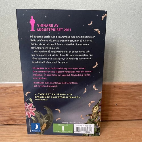 Pojkarna av Jessica Schiefauer, pocketbok