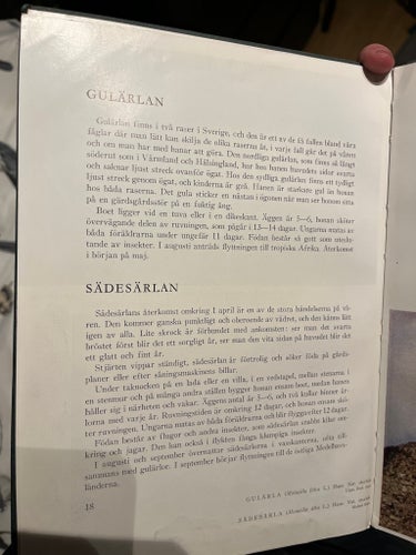Våra fågelvänner - Nils Linnman