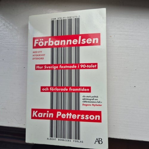 Förbannelsen av Karin Pettersson